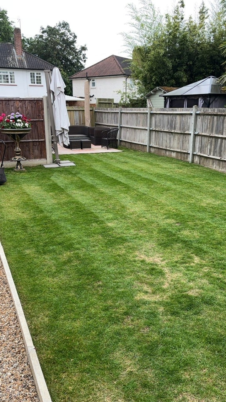 Well-maintained communal lawn with wooden fences and weathered brick houses around it, a shared outdoor space for residents