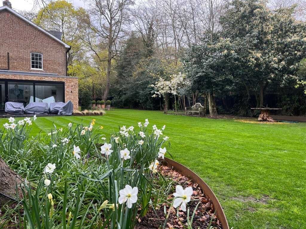 Modern brick house with manicured lawn and blooming white flowers in the front garden