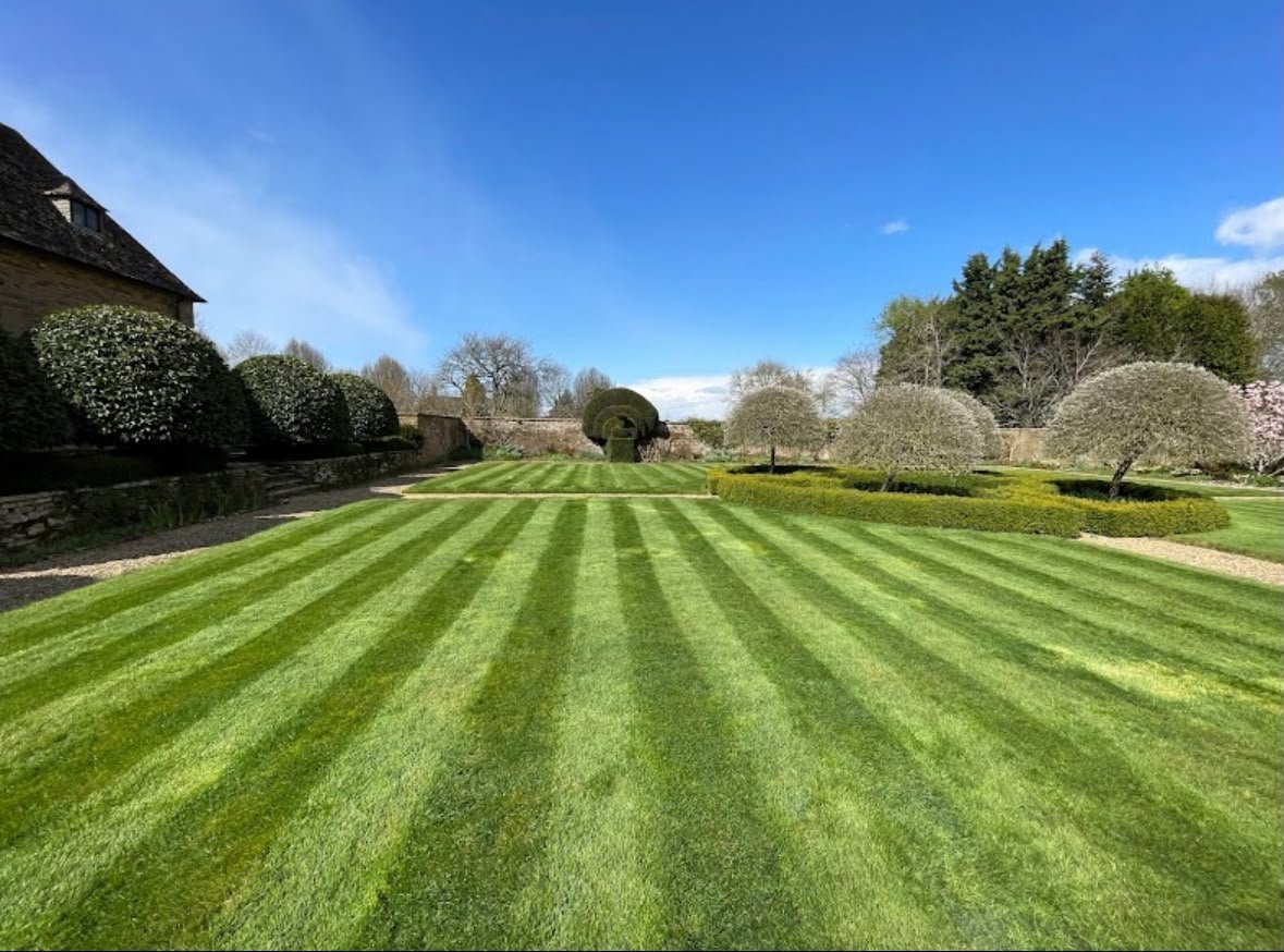 Manicured lawn with striped mowing pattern, bordered by topiary hedges and flowering shrubs on a clear spring day
